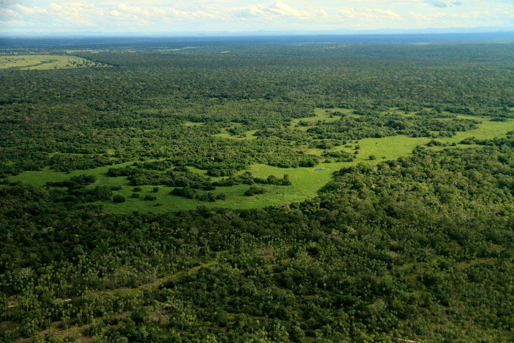 Vista aérea do Refúgio Ecológico Caiman