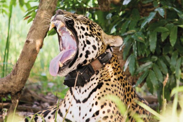 gaia-galeria-2 gaia-galeria-2