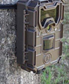 armadilha-imagem-oncas armadilha-imagem-oncas