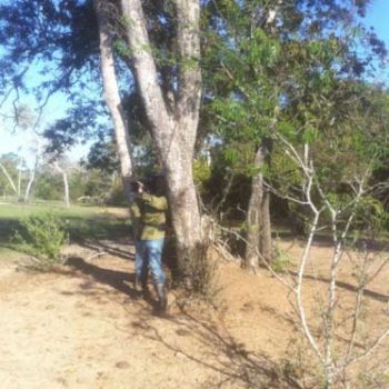 documentario-09 documentario-09