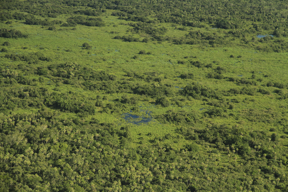 Aerial view of the Pantanal - the largest wetland in the world, and one of the most remote places too.