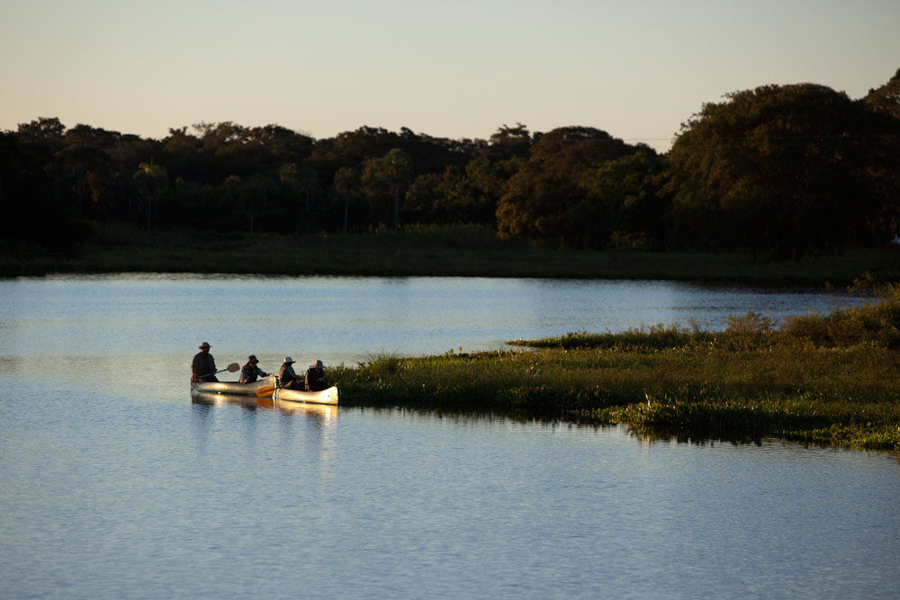 Guests at Caiman Ecological Refuge go out for guided afternoon paddle. Going out on the canoes changes the whole perspective and allows for incredibly close and intimate encounters with wonderful birdlife.