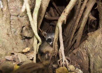 This is the sweet face that greeted us... This is the sweet face that greeted us...