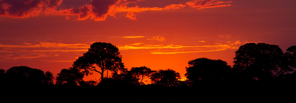 The sunsets here in the Pantanal are incredible - rivaled only by the sunrises