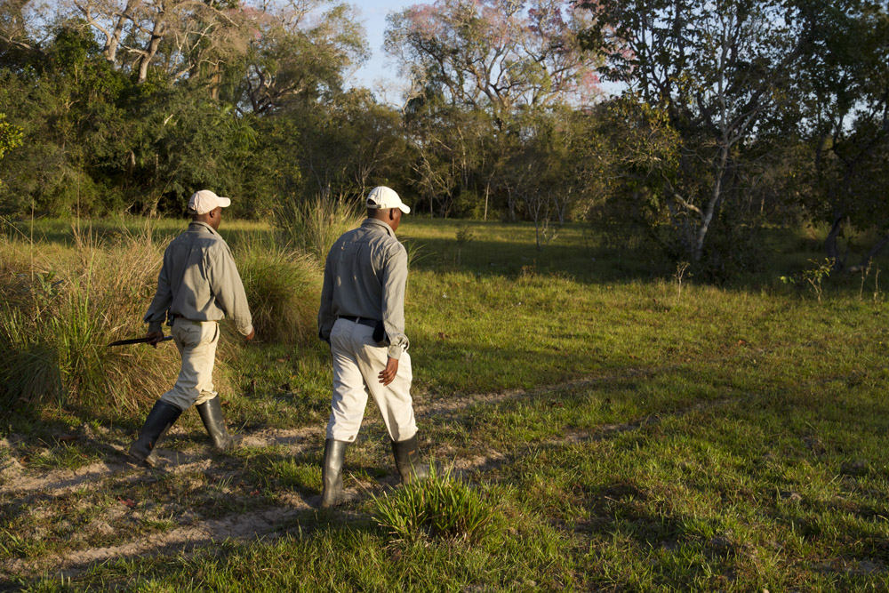 A wonderful way to stretch the legs and enjoy the fresh air of the Pantanal