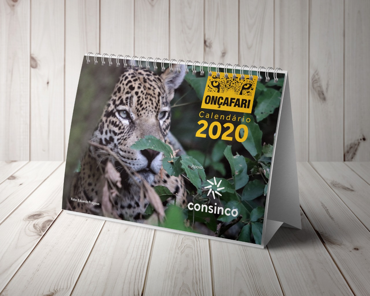 Onçafari: participe da campanha de calendários 2020!