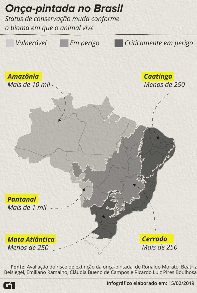 mapa-onca-pintada-no-brasil