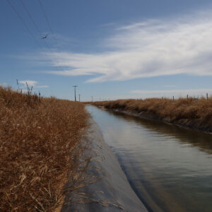 Advocacy01 Advocacy01