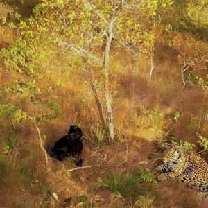 Advocacy02 Advocacy02