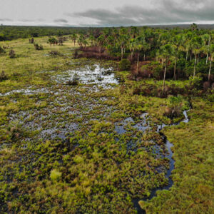 created by dji camera created by dji camera