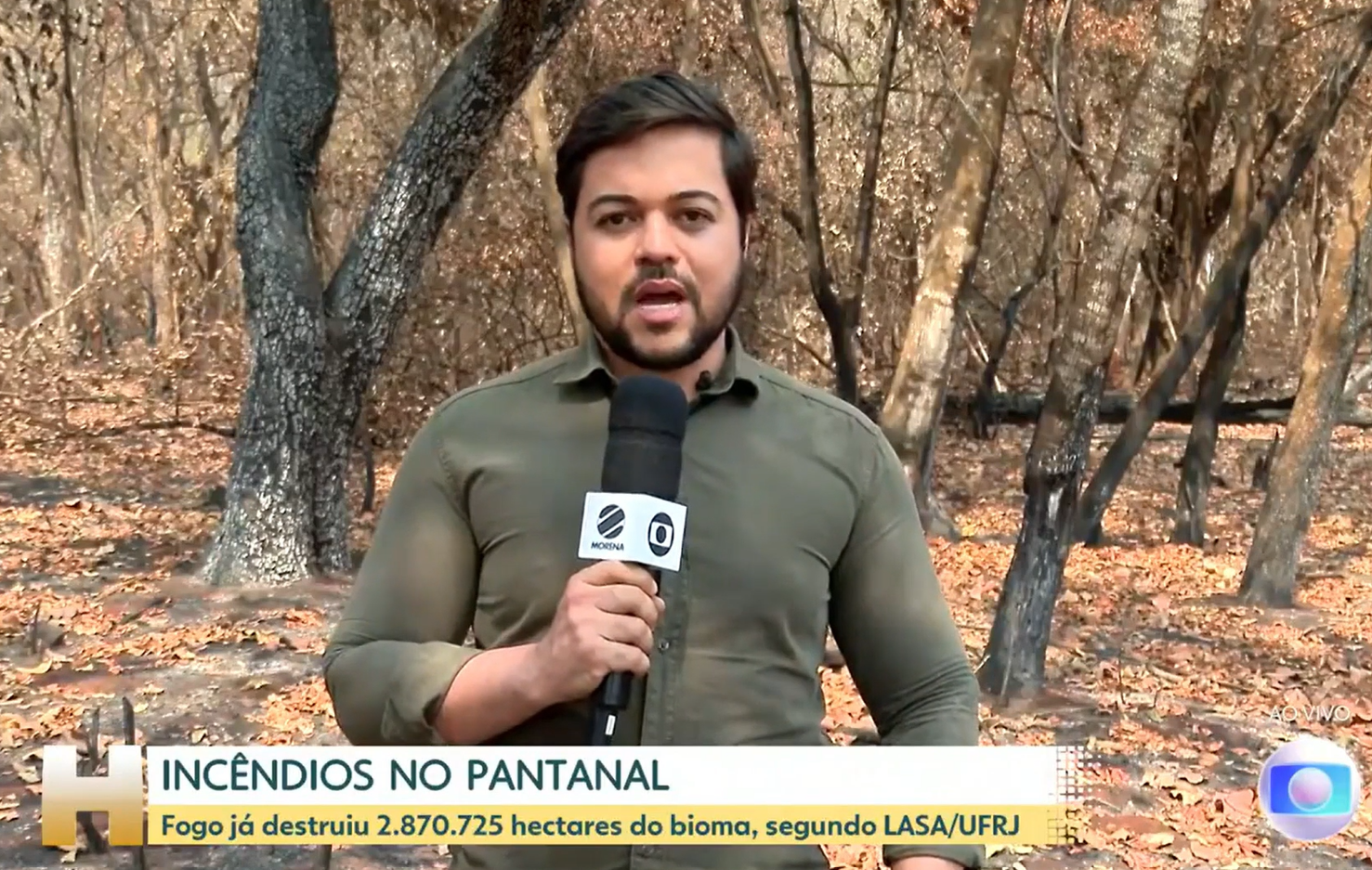 Jornal Hoje: Levantamento mostra que fogo já destruiu quase 3 milhões de hectares do Pantanal