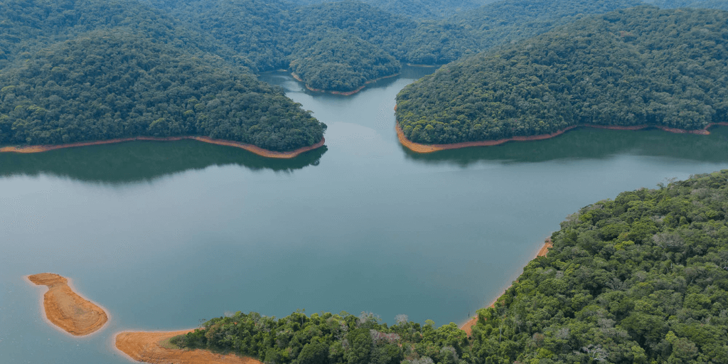 Dia Nacional da Mata Atlântica